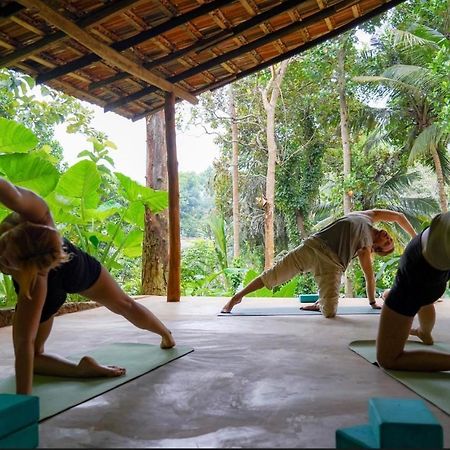 Into The Blue - Yoga Included & Walk To 3 Beaches Tangalle Exteriör bild