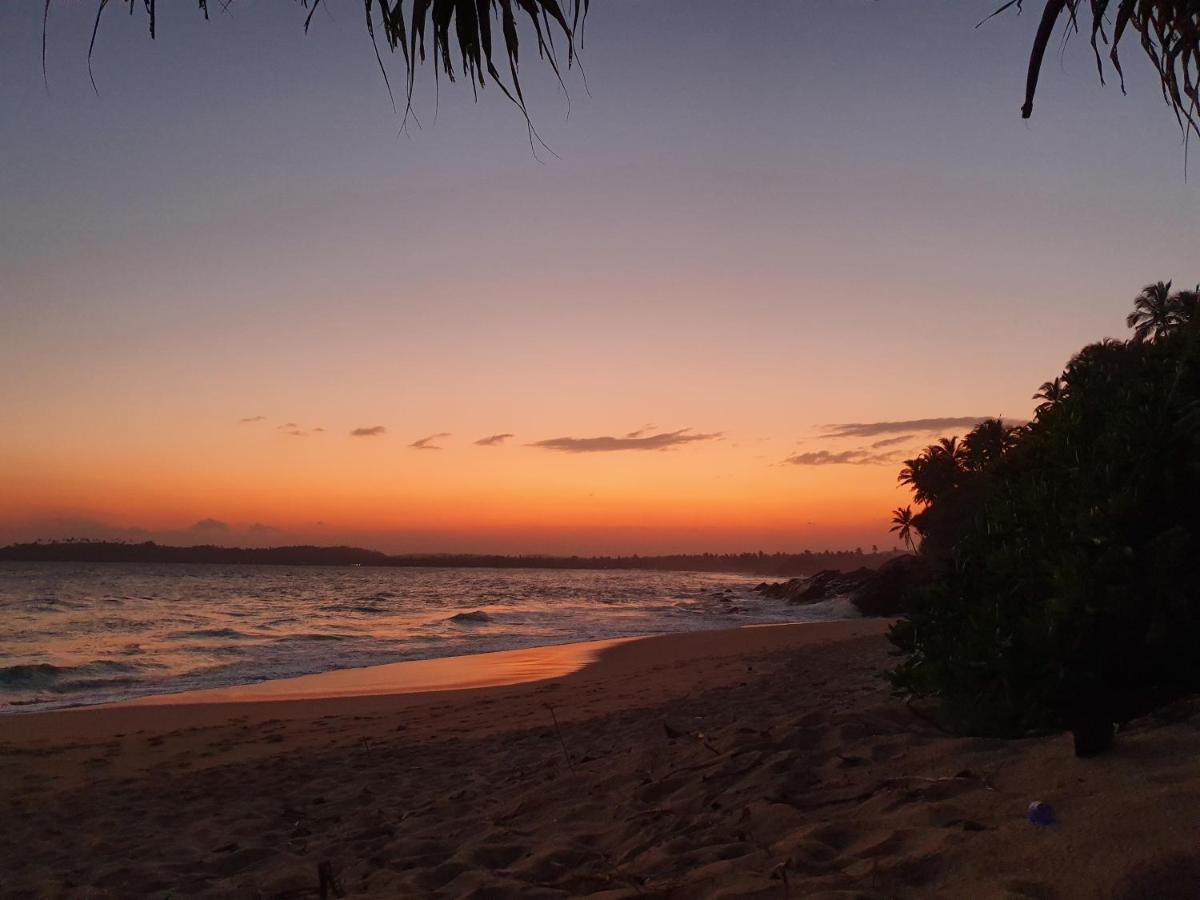 Into The Blue - Yoga Included & Walk To 3 Beaches Tangalle Exteriör bild