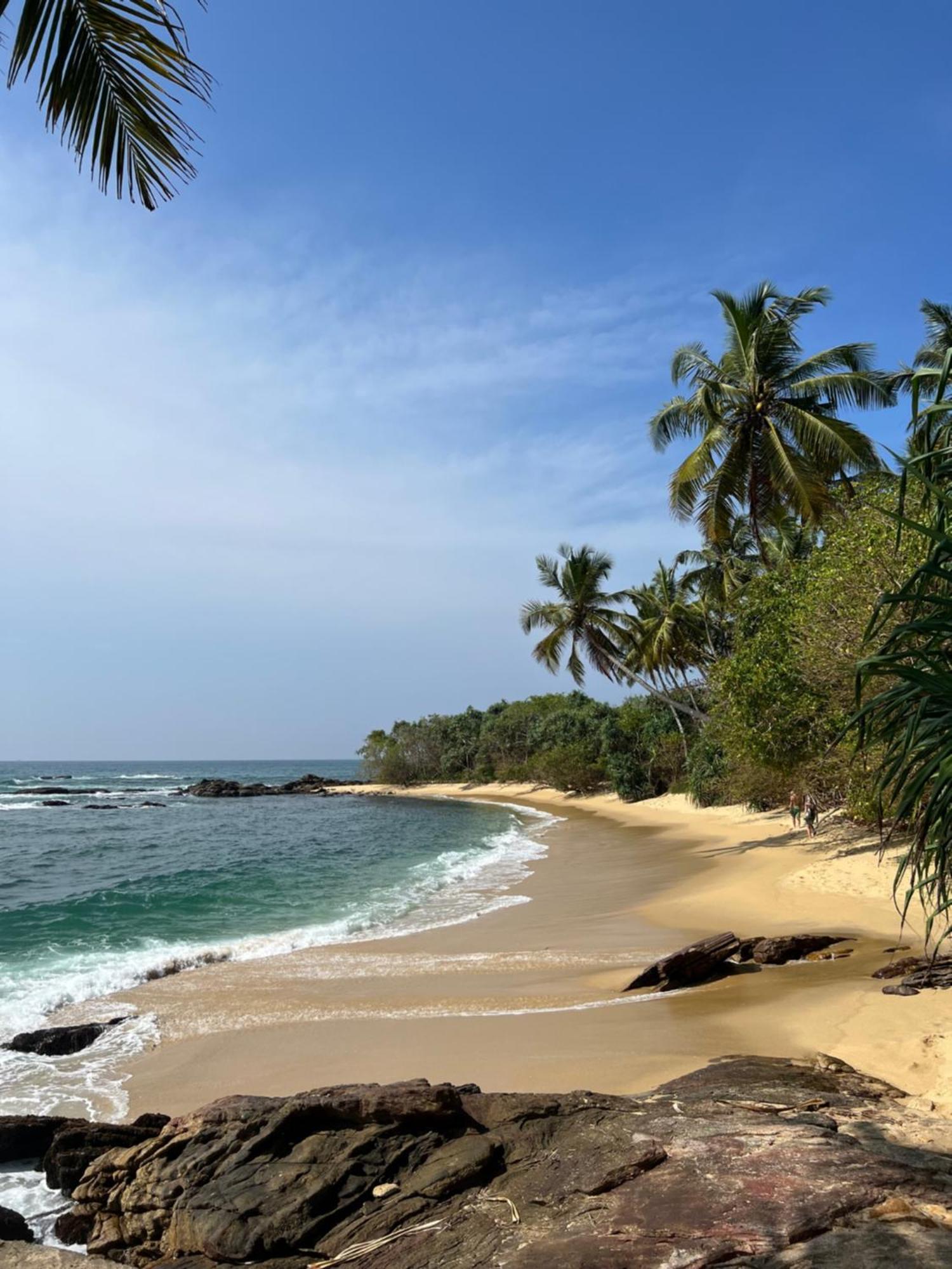 Into The Blue - Yoga Included & Walk To 3 Beaches Tangalle Exteriör bild