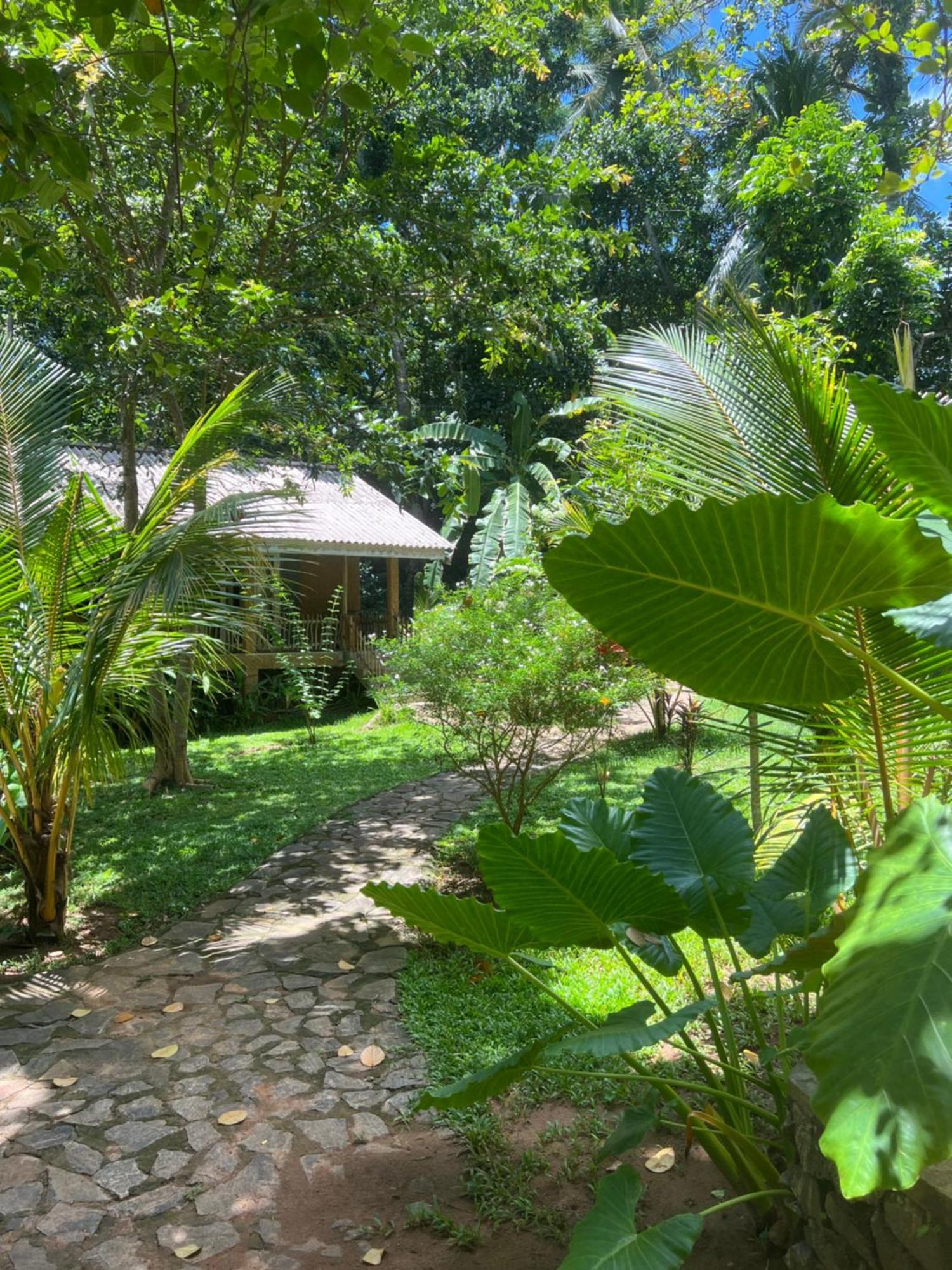 Into The Blue - Yoga Included & Walk To 3 Beaches Tangalle Exteriör bild