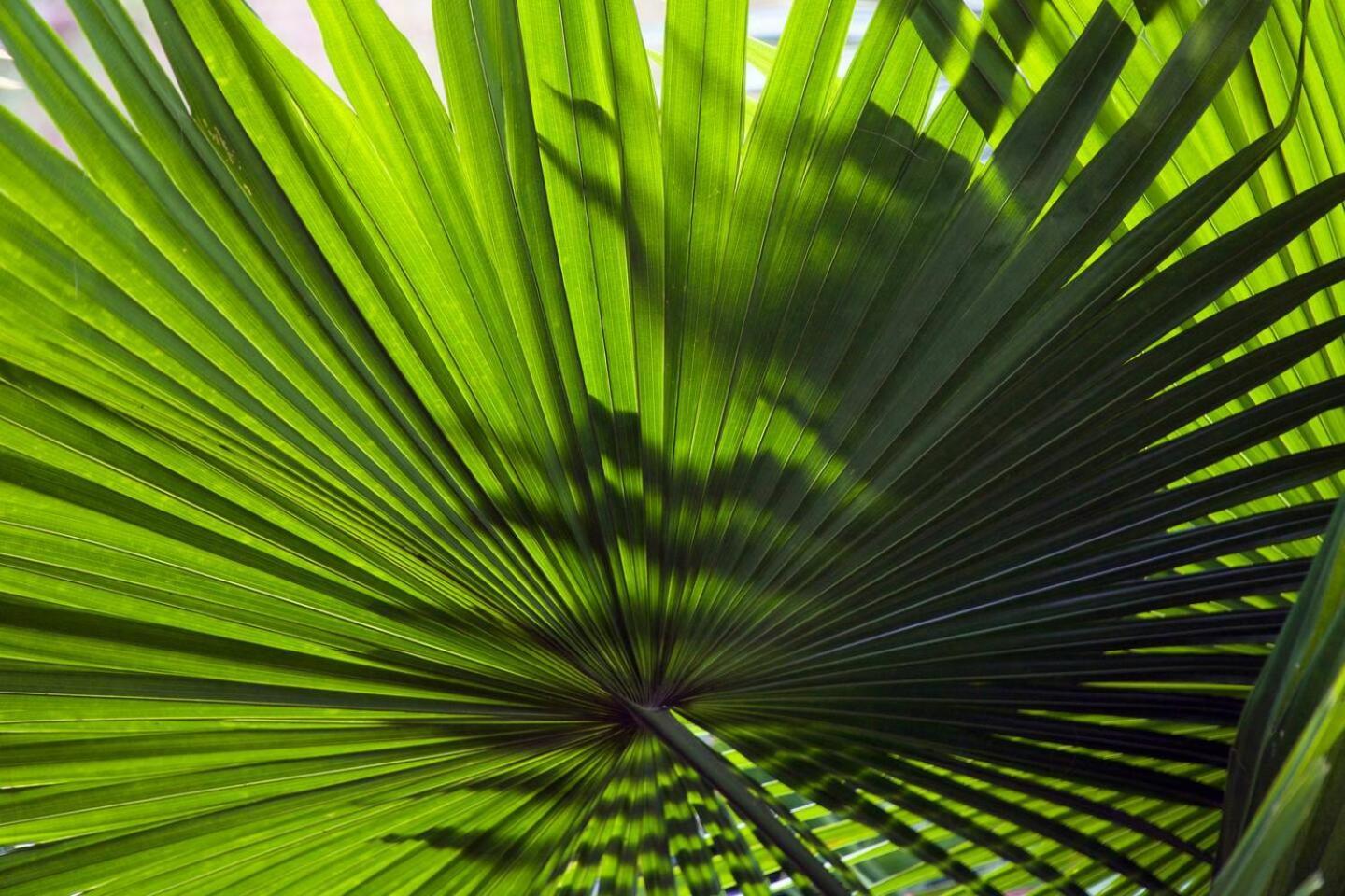Into The Blue - Yoga Included & Walk To 3 Beaches Tangalle Exteriör bild
